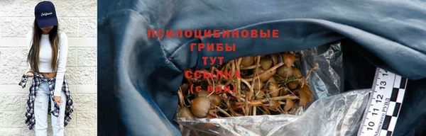 гашик Богородицк
