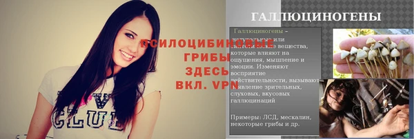 гашик Богородицк