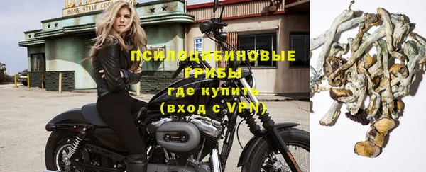 гашик Богородицк