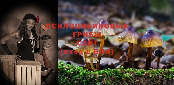 прущие крисы Богородск