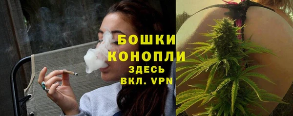 гашик Богородицк