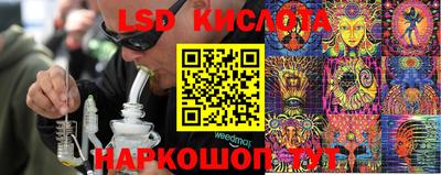 spice Новозыбков
