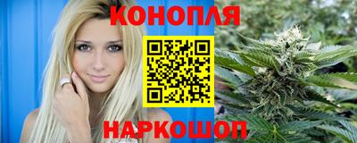spice Новозыбков