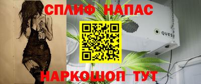 гидра Новокубанск