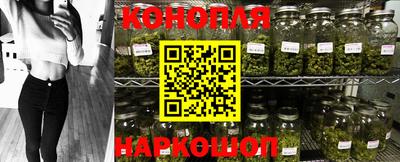 spice Новозыбков